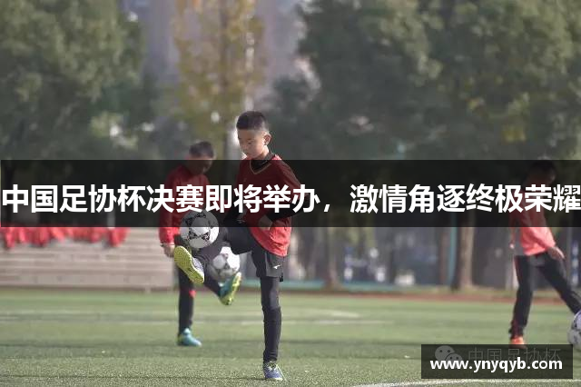 中国足协杯决赛即将举办，激情角逐终极荣耀